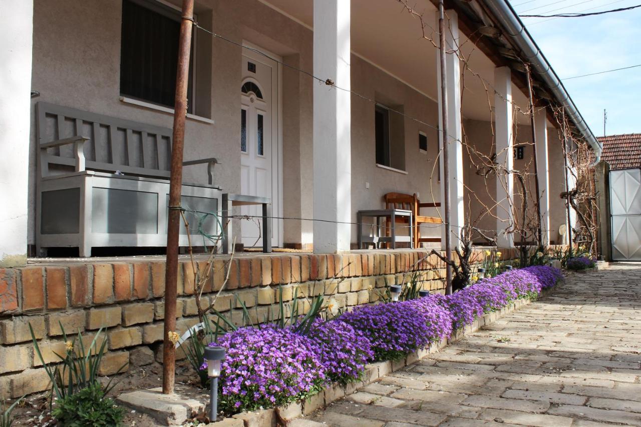 Julia Apartman Pacir Экстерьер фото
