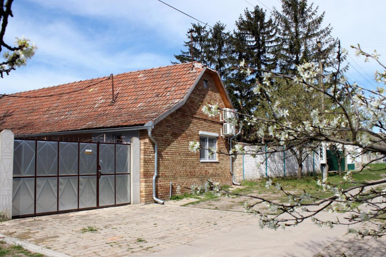 Julia Apartman Pacir Экстерьер фото